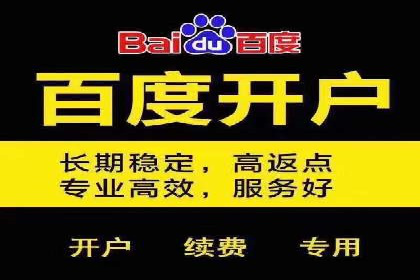 SEM专员案例：跨平台广告投放策略